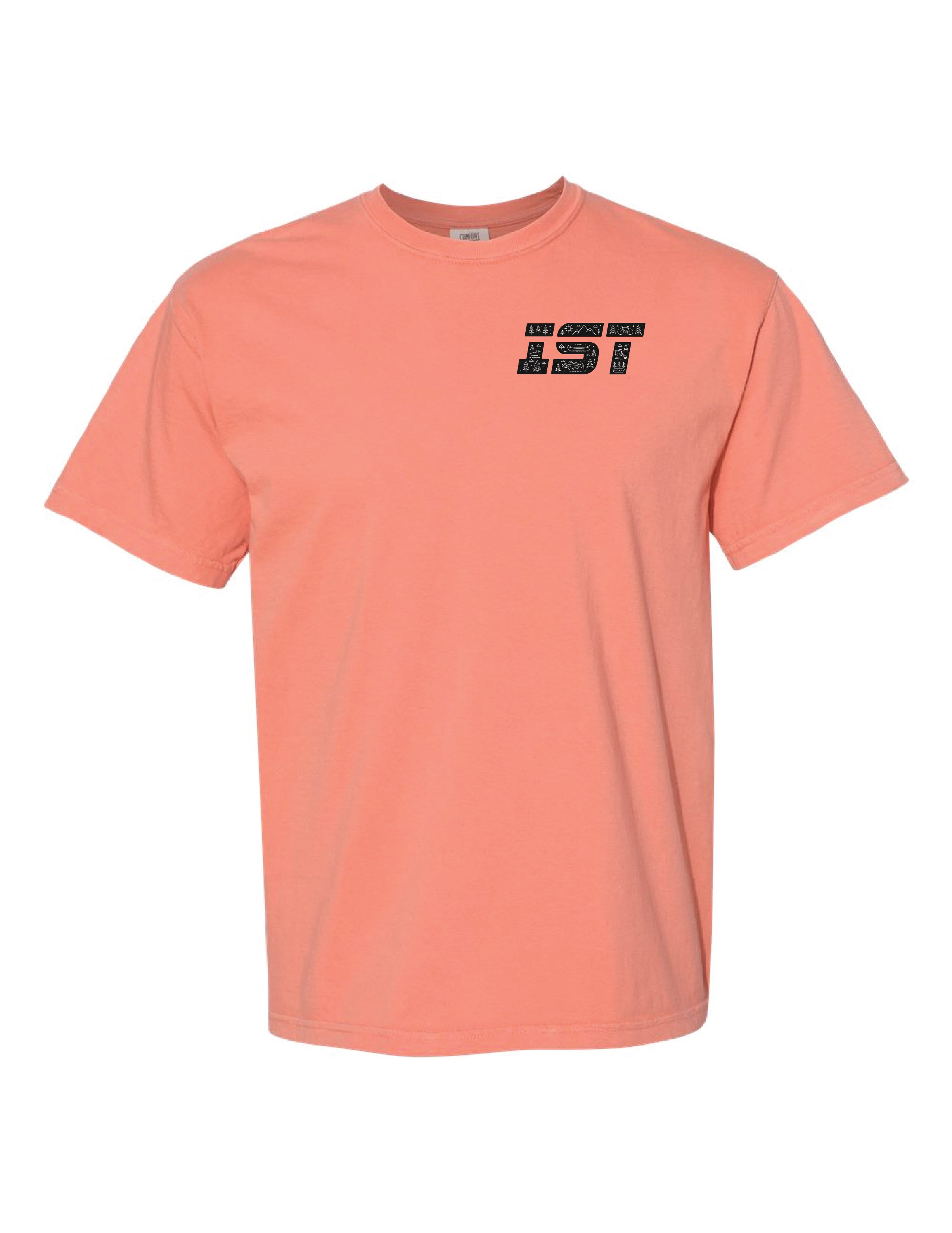A3) Comfort Colors Unisex Garment-Dyed Heavyweight T-Shirt - 1717 - IST