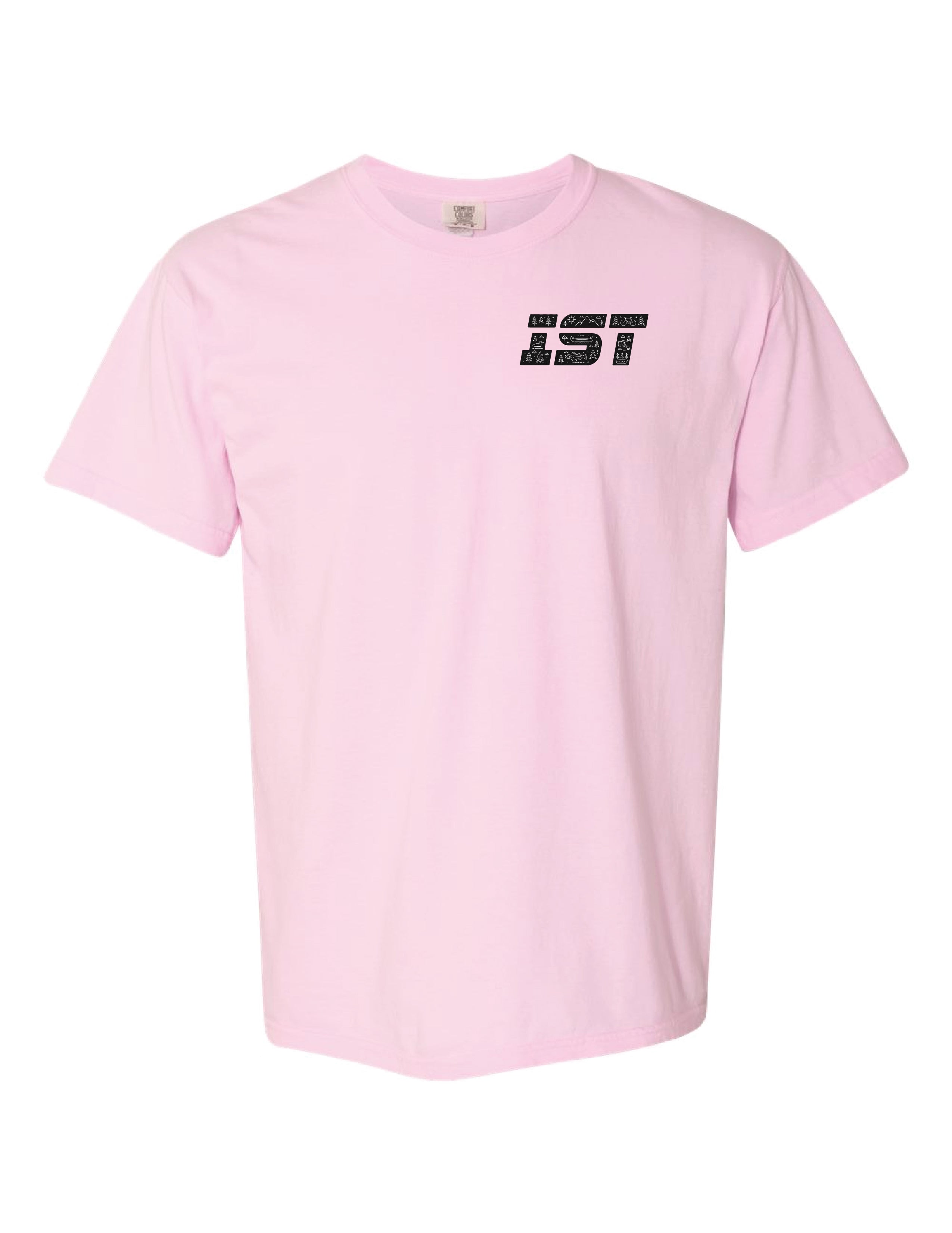 A3) Comfort Colors Unisex Garment-Dyed Heavyweight T-Shirt - 1717 - IST